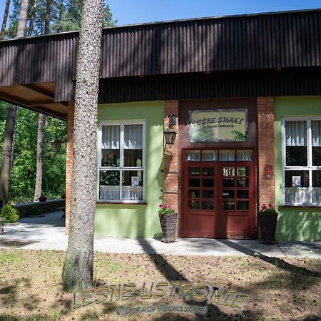 Villa Leśne Ustronie à Byslaw Extérieur photo