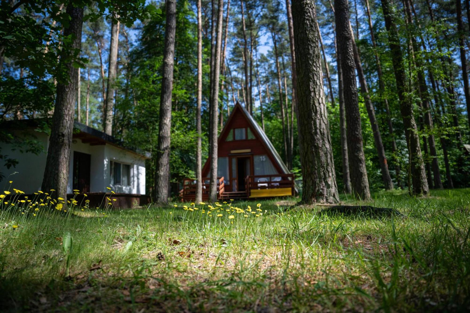 Villa Leśne Ustronie à Byslaw Extérieur photo